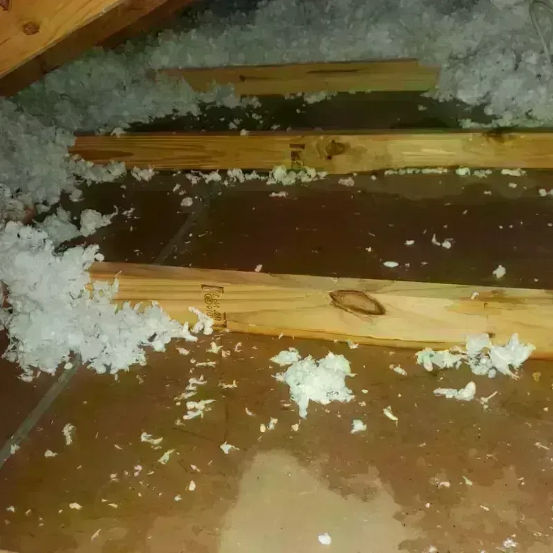 Attic Water Damage in Nelson County, VA